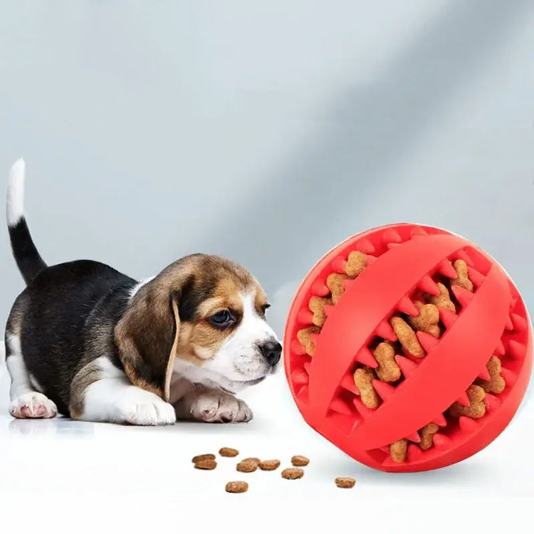 Jouet à mâcher pour le nettoyage des dents des animaux