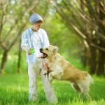 Jouet à mâcher pour le nettoyage des dents des animaux