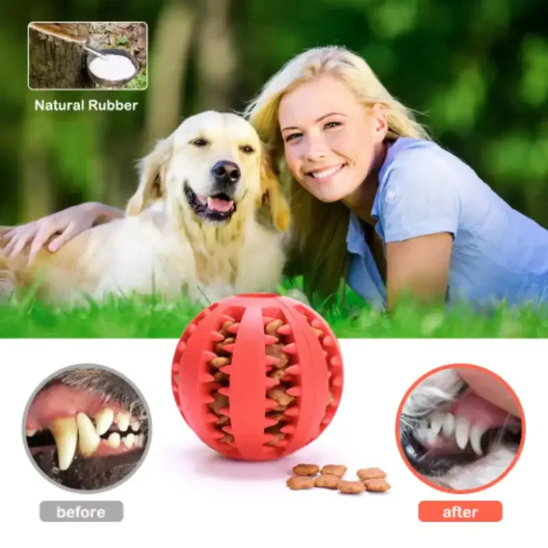 Jouet à mâcher pour le nettoyage des dents des animaux