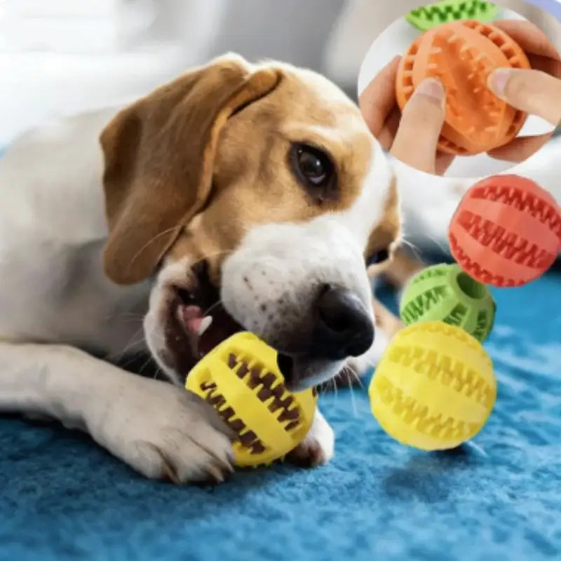 Jouet à mâcher pour le nettoyage des dents des animaux