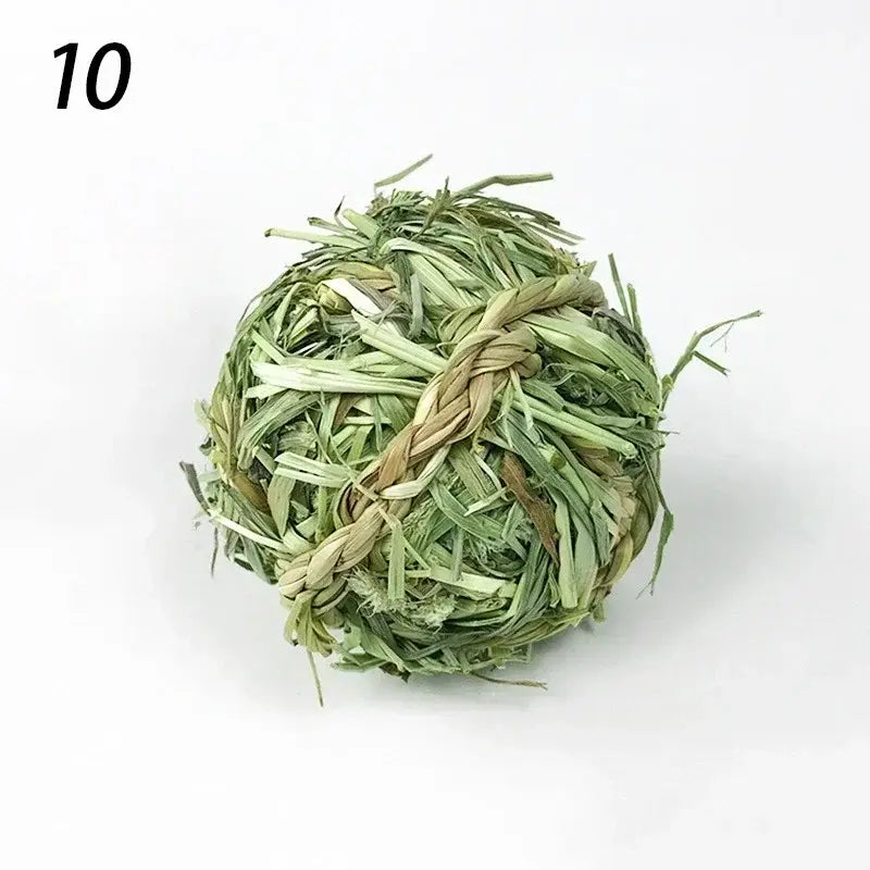 Jouet à mâcher tressé - 10
