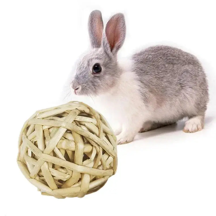Jouet à Mâcher Animal – Balle Tressée PawFrance