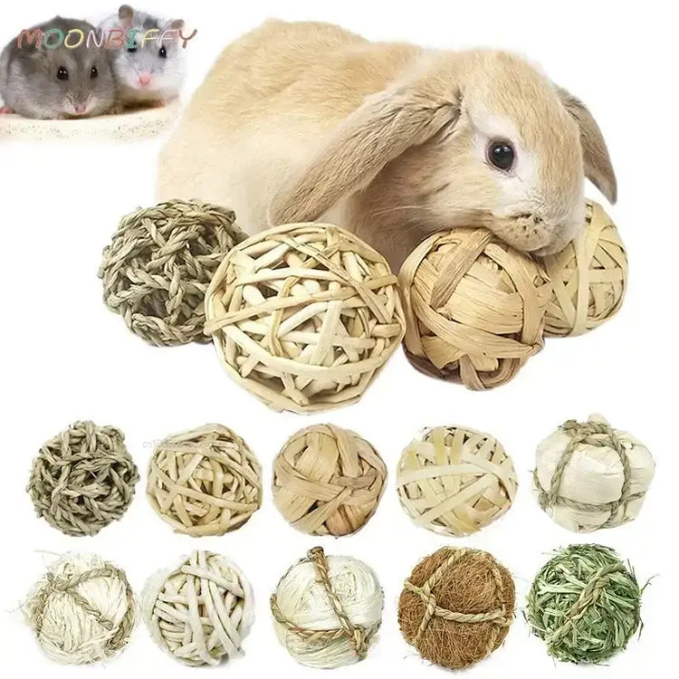 Jouet à Mâcher Animal – Balle Tressée PawFrance