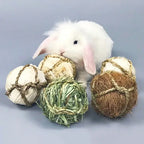Jouet à Mâcher Animal – Balle Tressée PawFrance