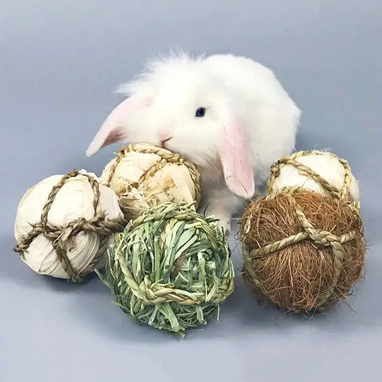 Jouet à Mâcher Animal – Balle Tressée PawFrance