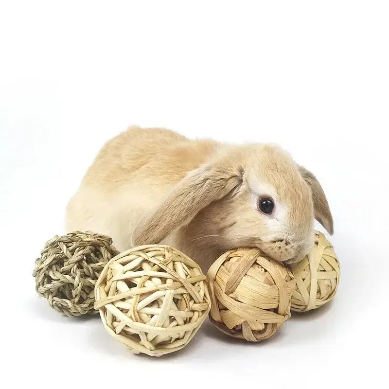 Jouet à Mâcher Animal – Balle Tressée PawFrance