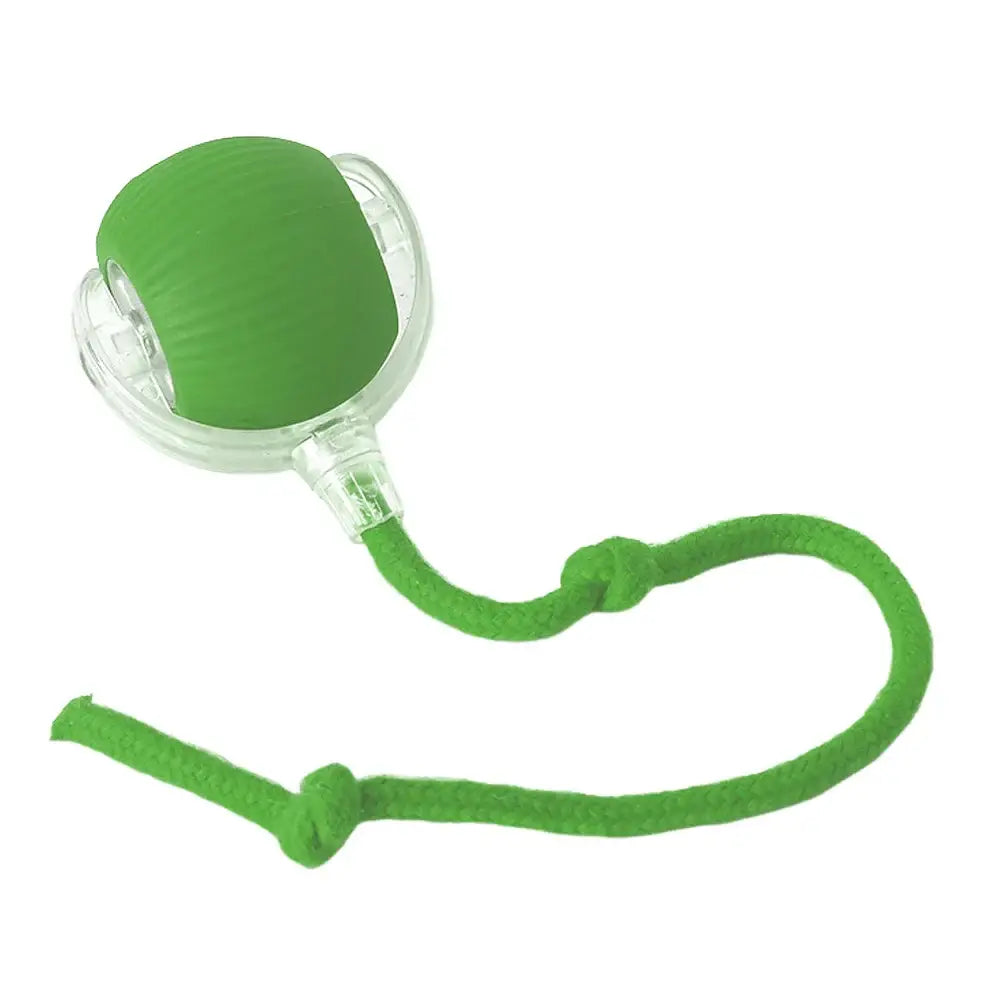Jouet balle interactive pour chat - plastique et silicone