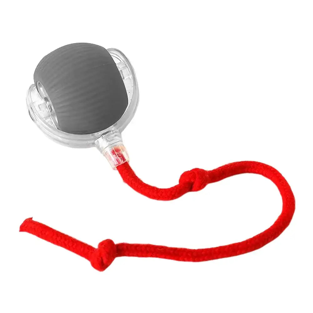 Jouet balle interactive pour chat - plastique et silicone