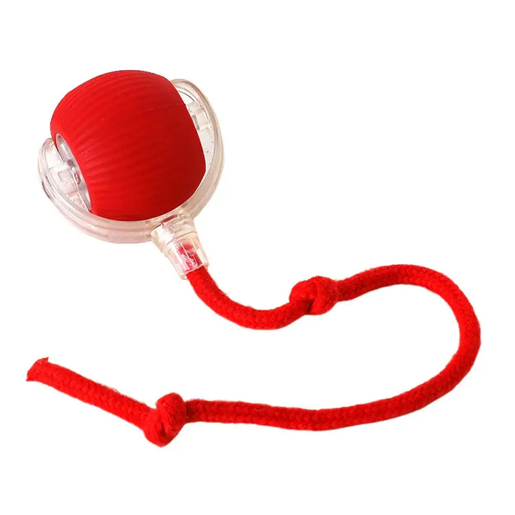 Jouet balle interactive pour chat - plastique et silicone