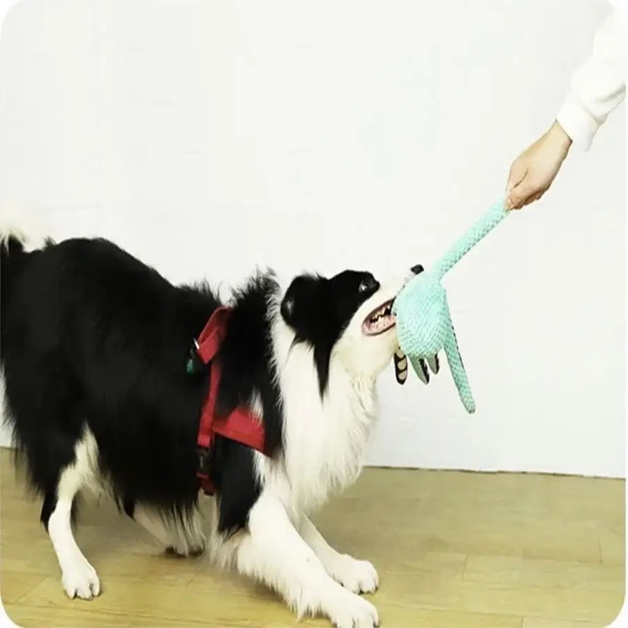 Jouet chien peluche pieuvre 