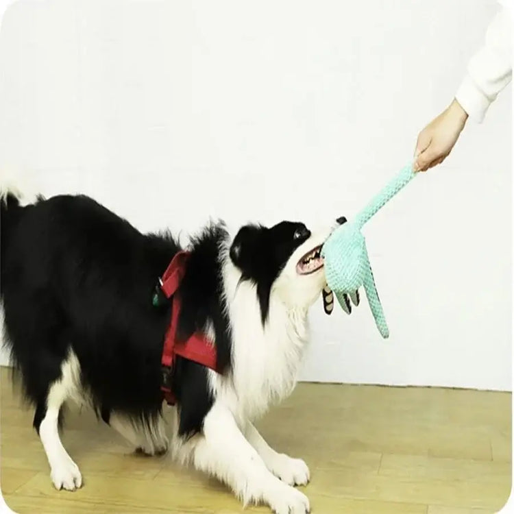 Jouet chien peluche pieuvre 