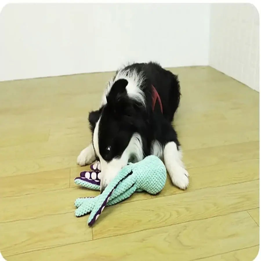 Jouet chien peluche pieuvre 