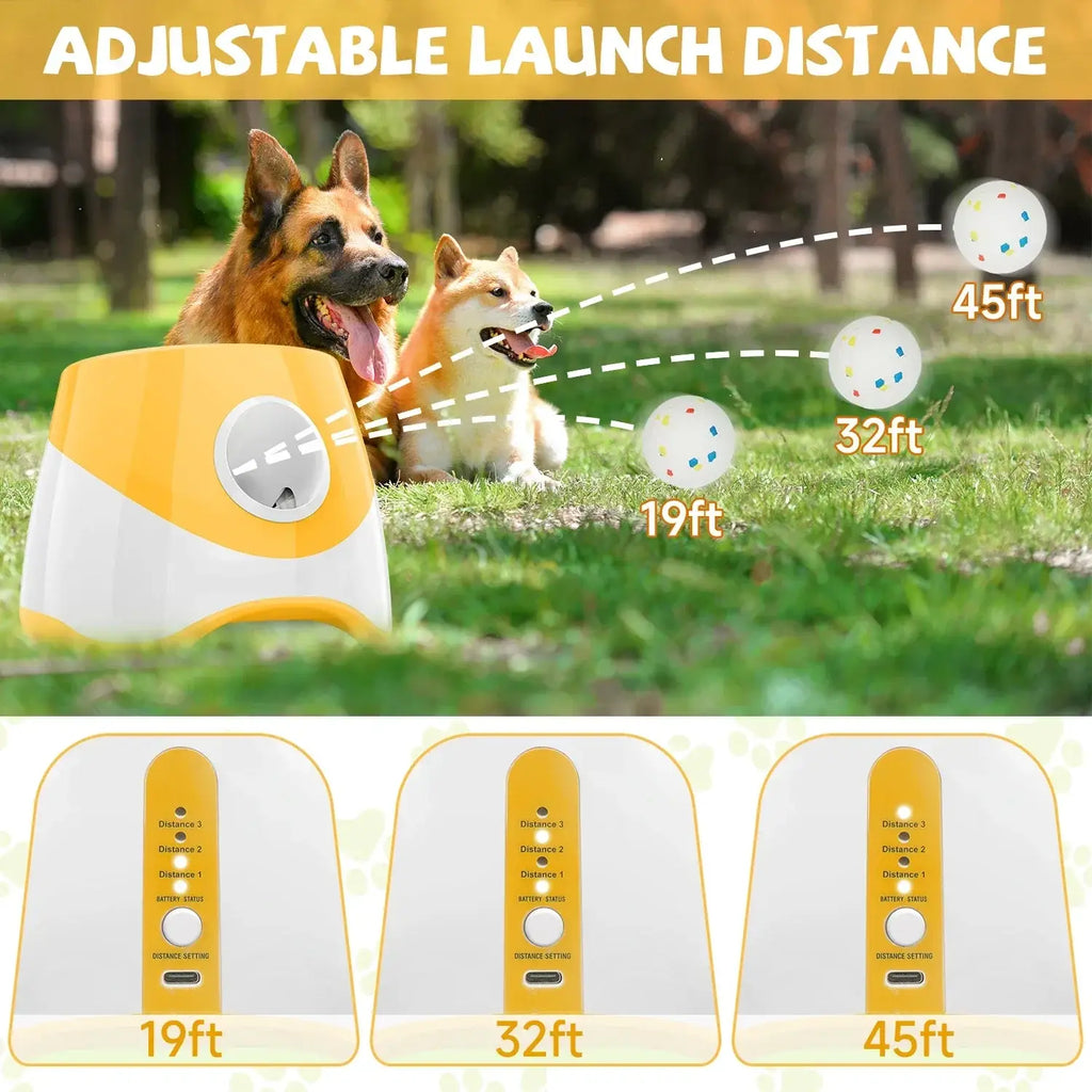 Jouet de lancer pour chien