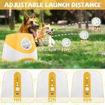 Jouet de lancer pour chien