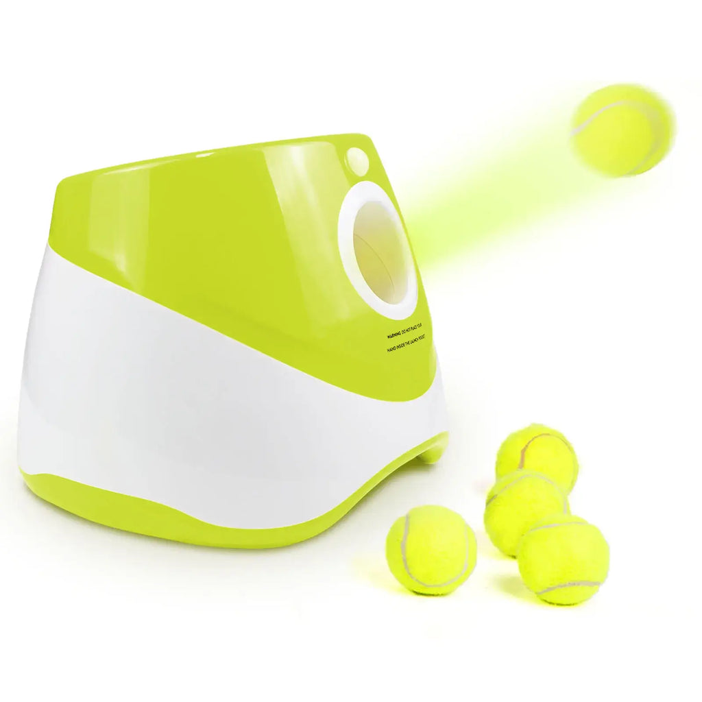 Jouet de poursuite pour chiens - Toys / france