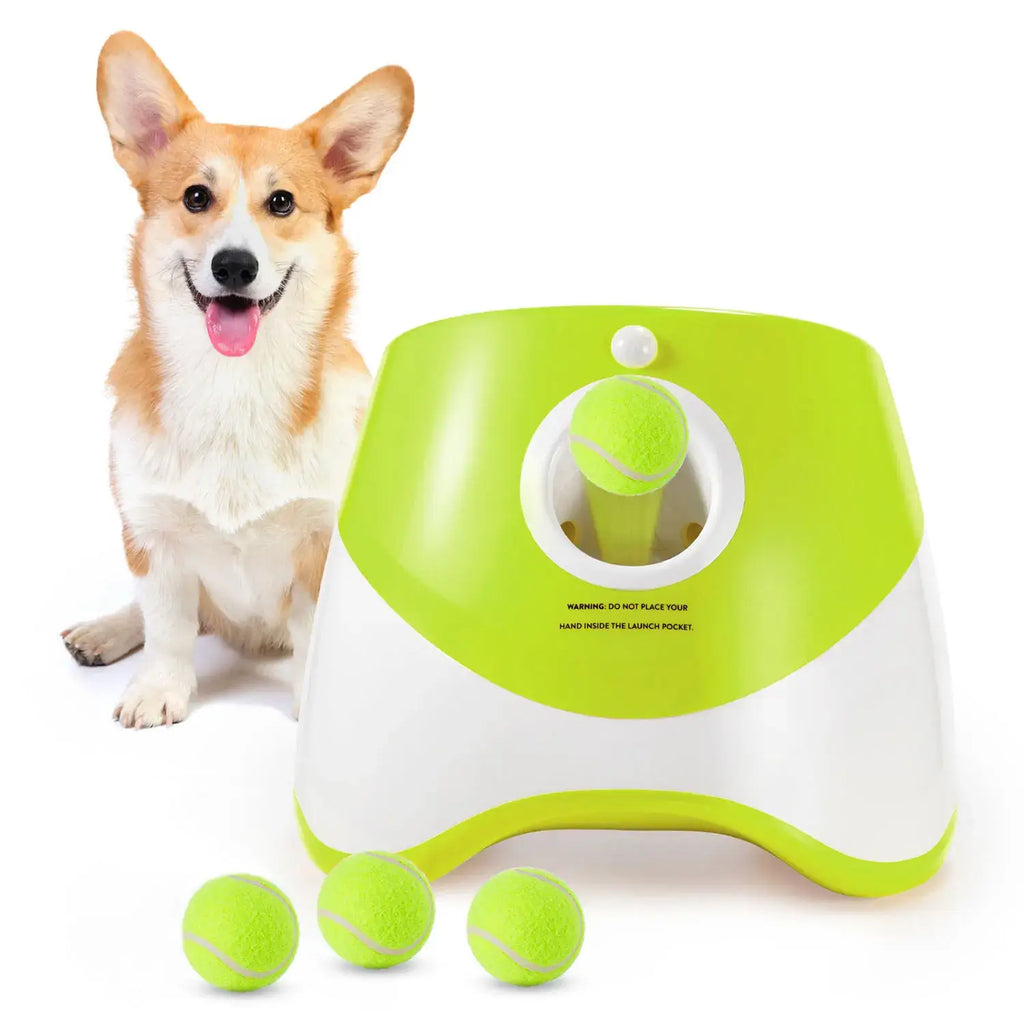 Jouet de poursuite pour chiens - Toys / france
