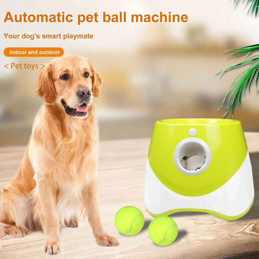 Jouet de poursuite pour chiens - Toys / france
