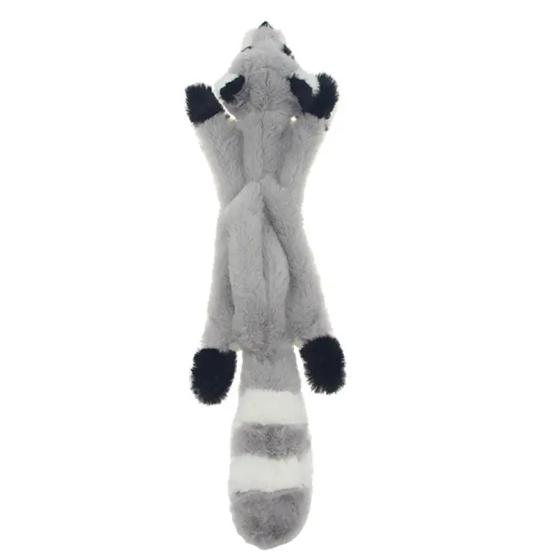 Jouet Dinosaure pour Chien - Raccoon