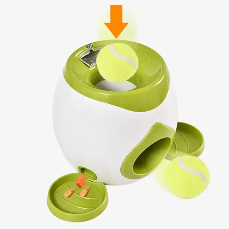 Jouet interactif 2 en 1 pour chien