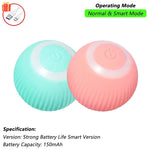 Jouet interactif chat oiseaux - Blue Pink Smart