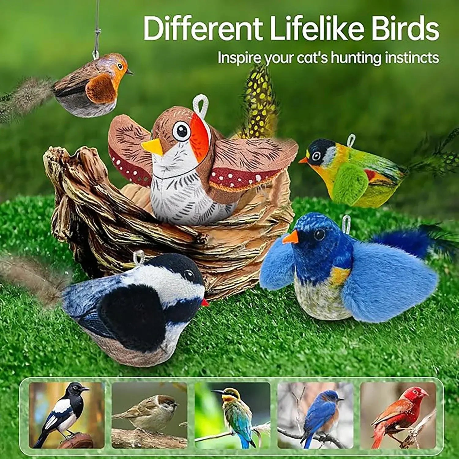 Jouet interactif chat oiseaux