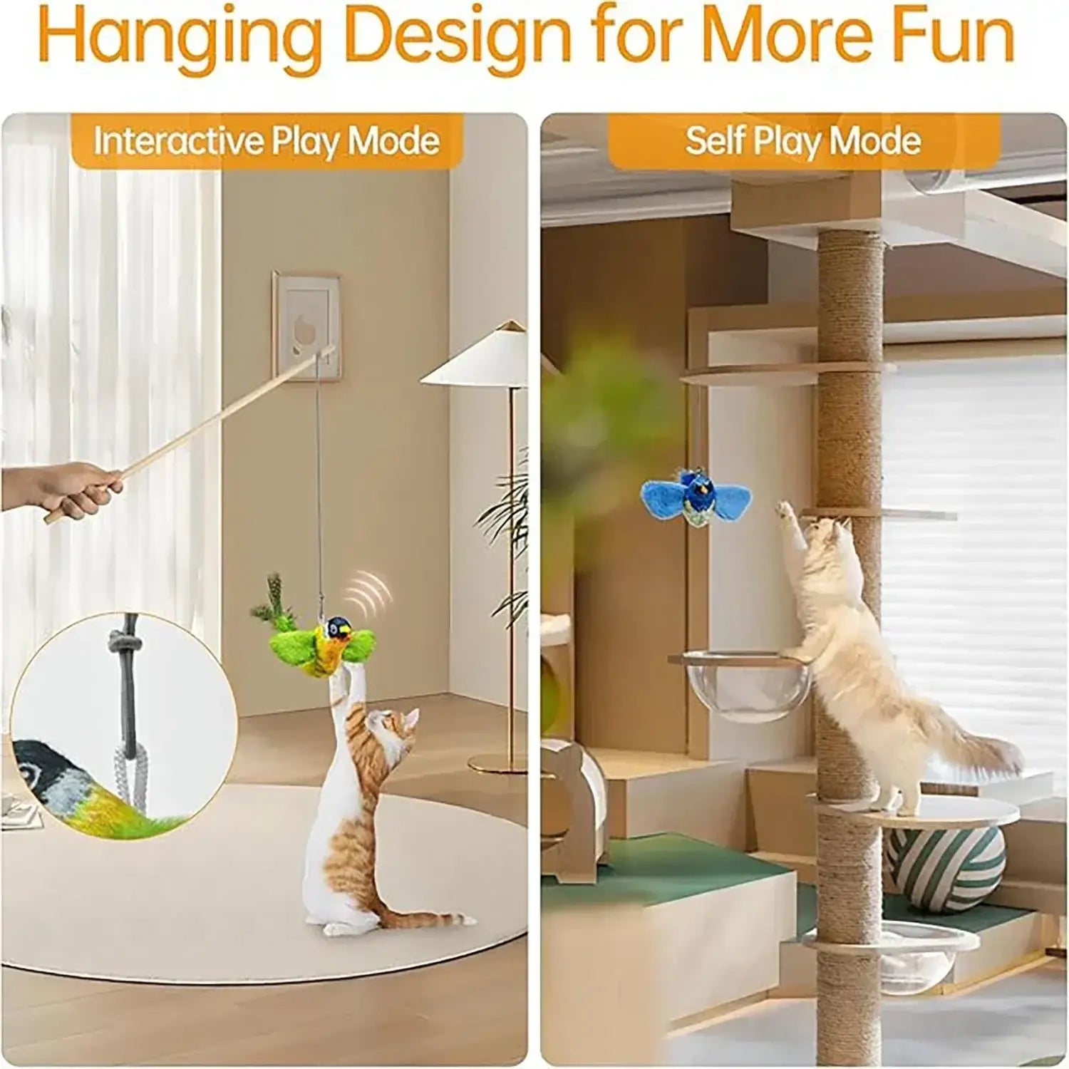 Jouet interactif chat oiseaux