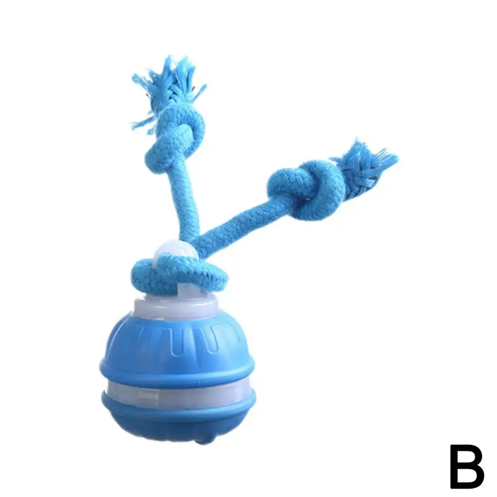Jouet interactif pour chien - B