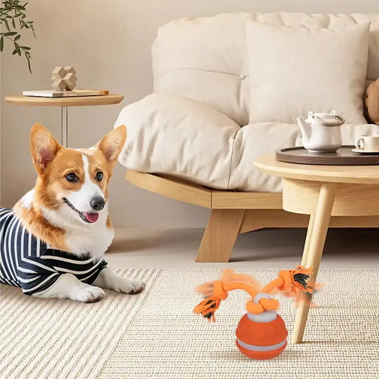Jouet interactif pour chien