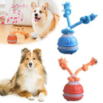 Jouet interactif pour chien