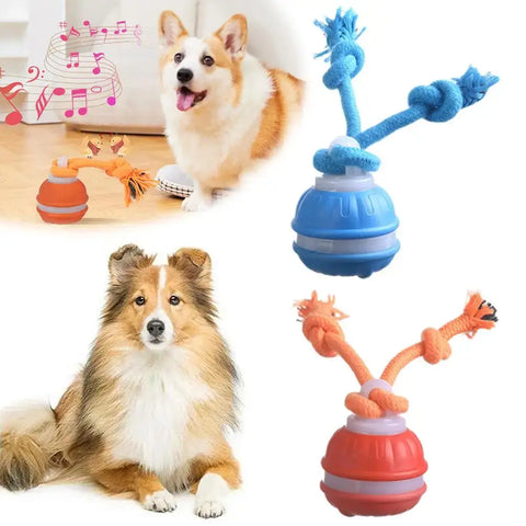Jouet interactif pour chien