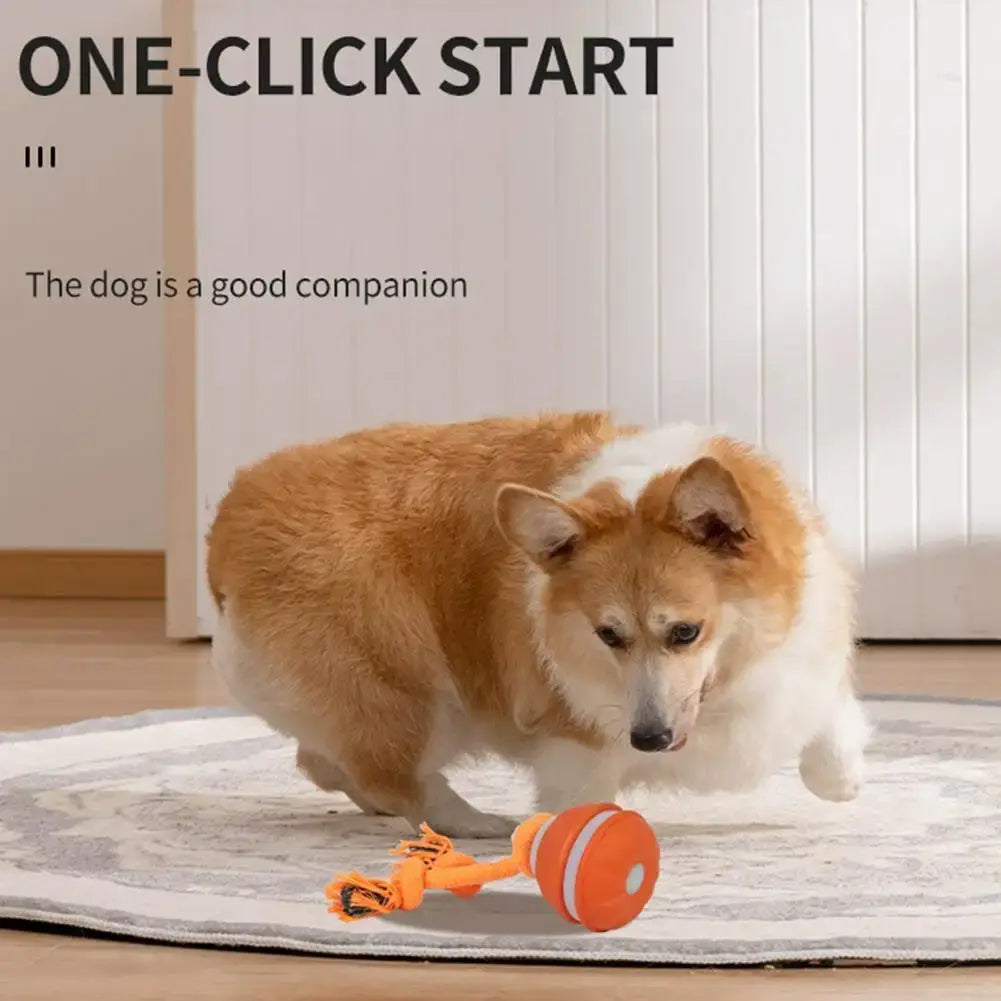 Jouet interactif pour chien