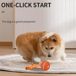 Jouet interactif pour chien