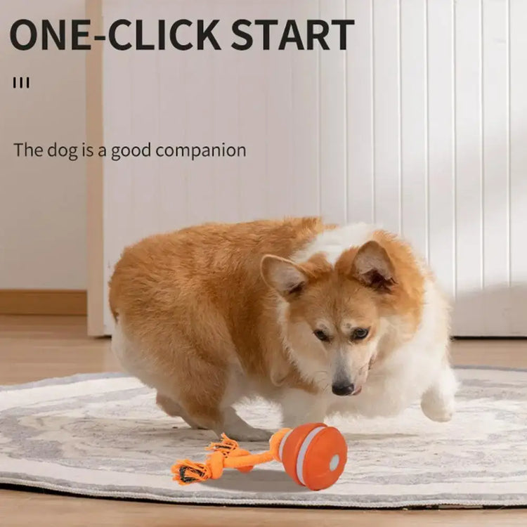 Jouet interactif pour chien
