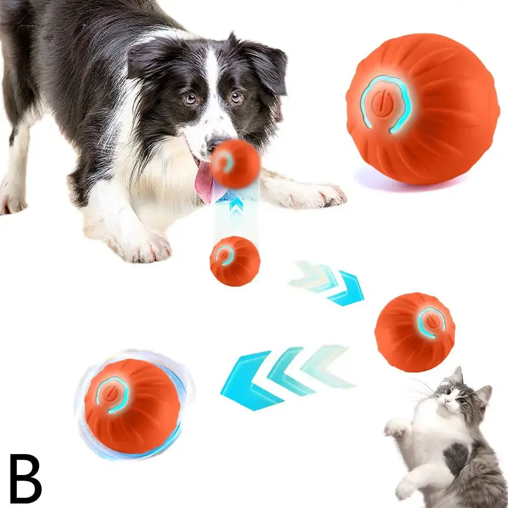 Jouet interactif pour chien - D