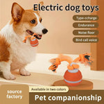 Jouet interactif pour chien
