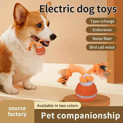 Jouet interactif pour chien