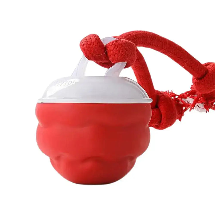 Jouet interactif pour chien - F