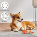 Jouet interactif pour chien