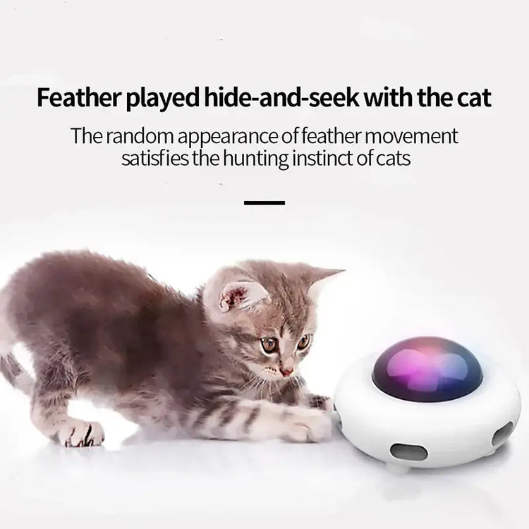 Jouet plateau tournant pour chat - WHITE