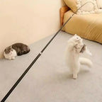 Jouet pour chat à long manche extensible
