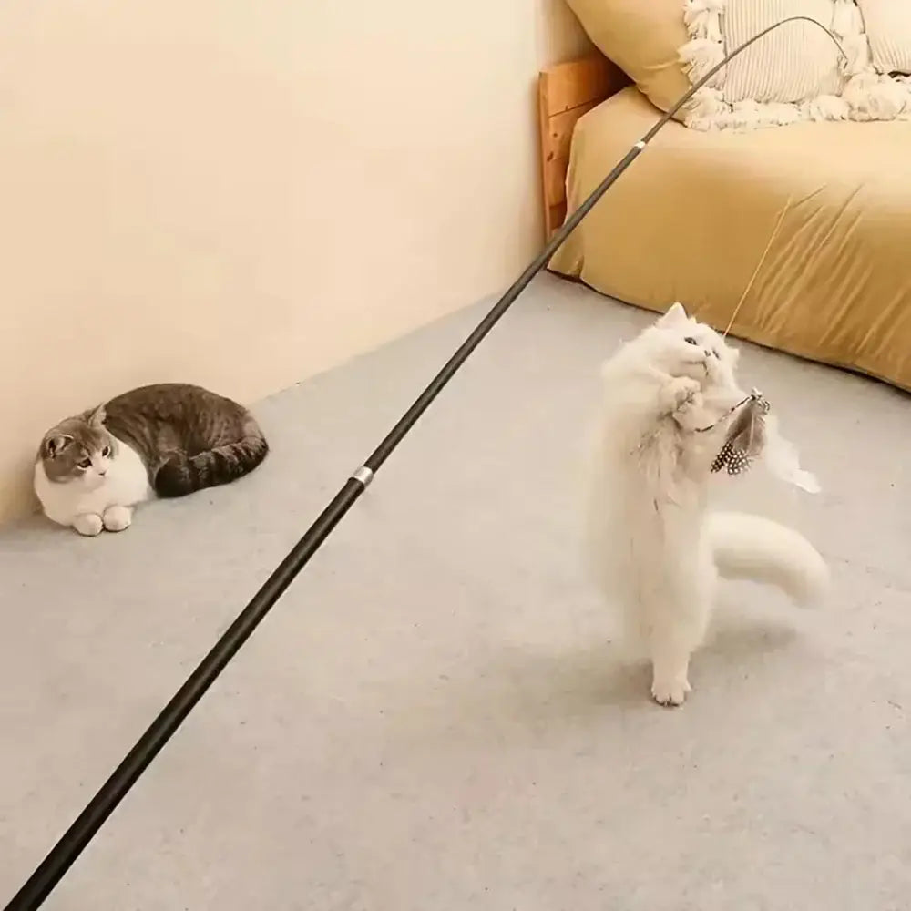 Jouet pour chat à long manche extensible