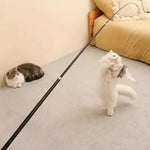 Jouet pour chat à long manche extensible