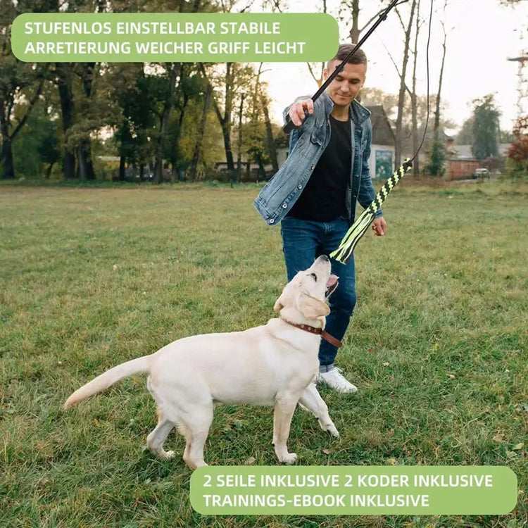 Jouet pour chien à ronger les dents - B