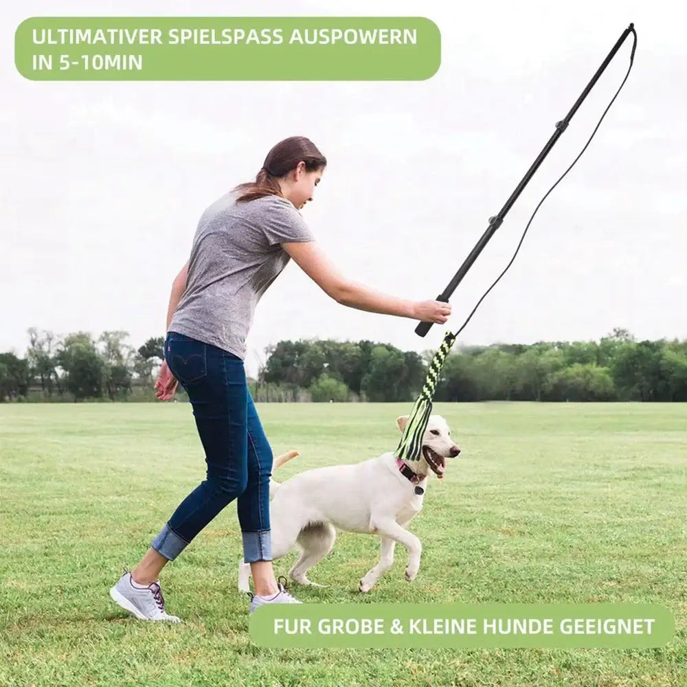 Jouet pour chien à ronger les dents - B