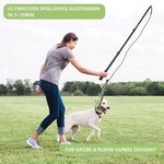 Jouet pour chien à ronger les dents - B