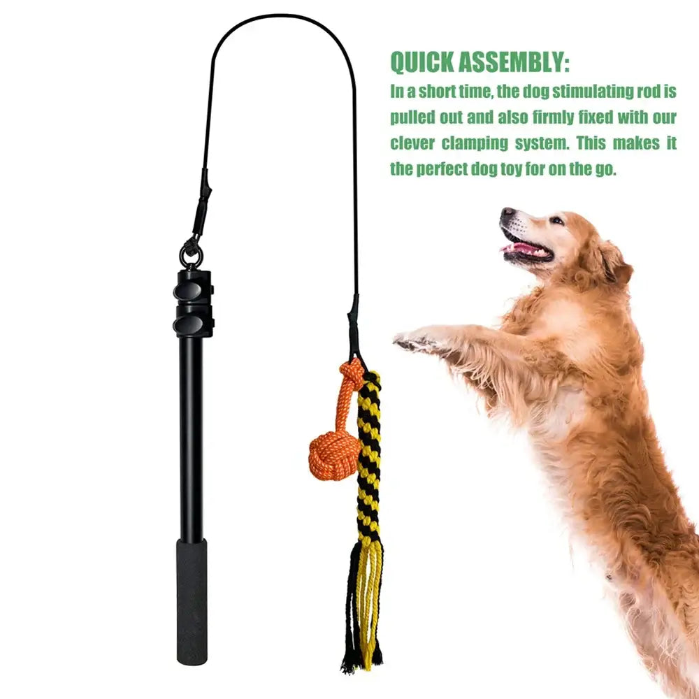 Jouet pour chien à ronger les dents - B