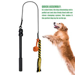 Jouet pour chien à ronger les dents - B