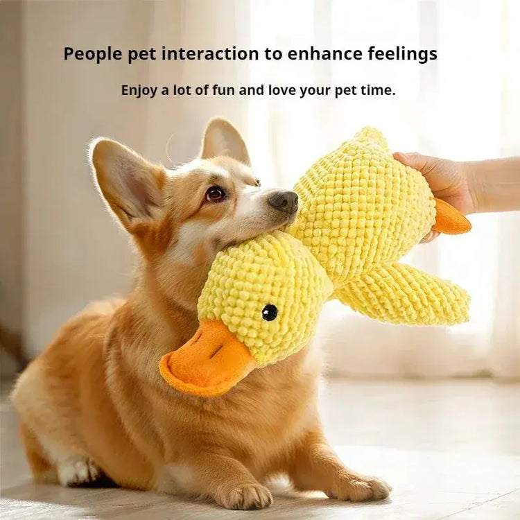 jouet pour chien avec son de canard