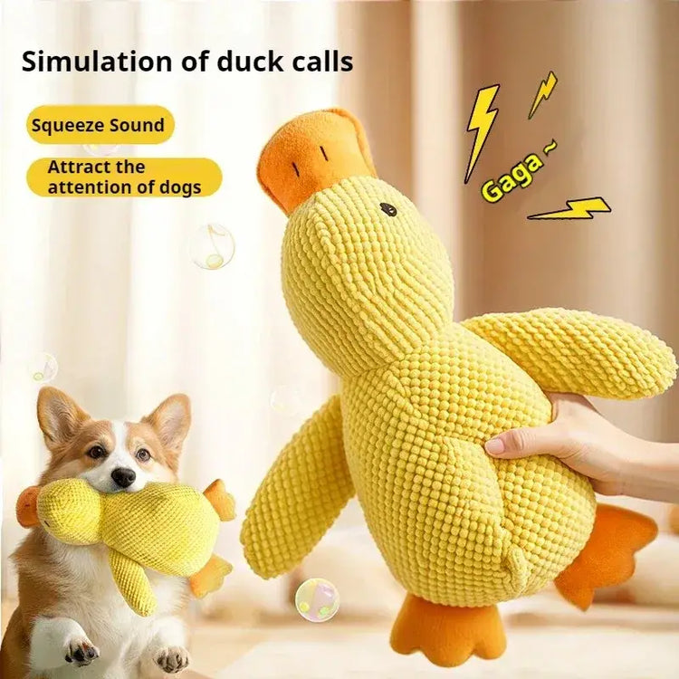 jouet pour chien avec son de canard