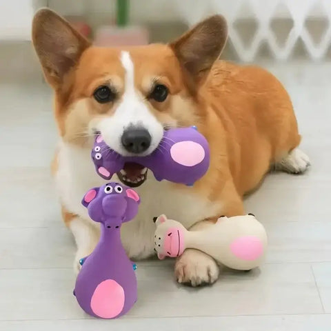 Jouet pour chien en caoutchouc qui couine